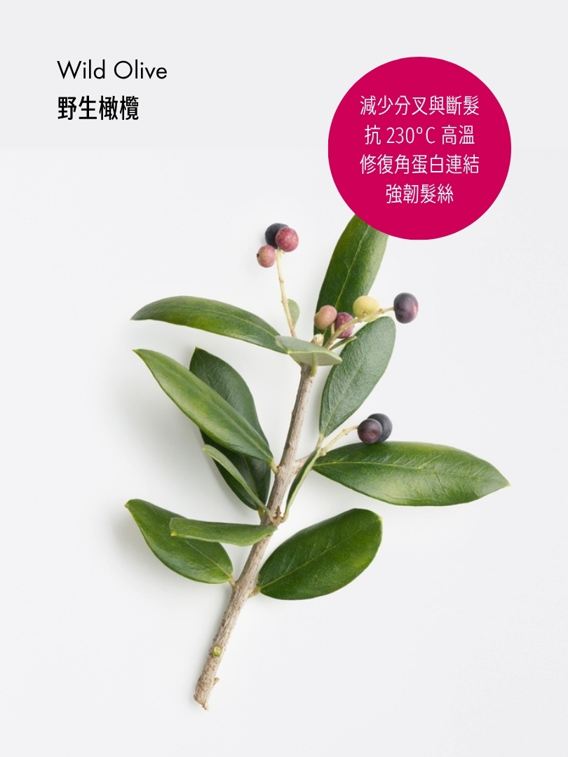 Protective Volumising Shampoo