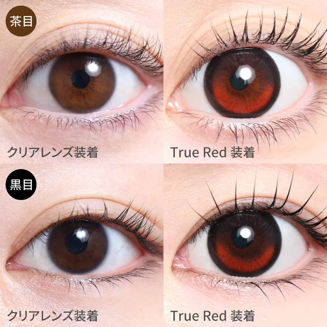 TeAmo Edel Series 1 Day (True Red)(10P)