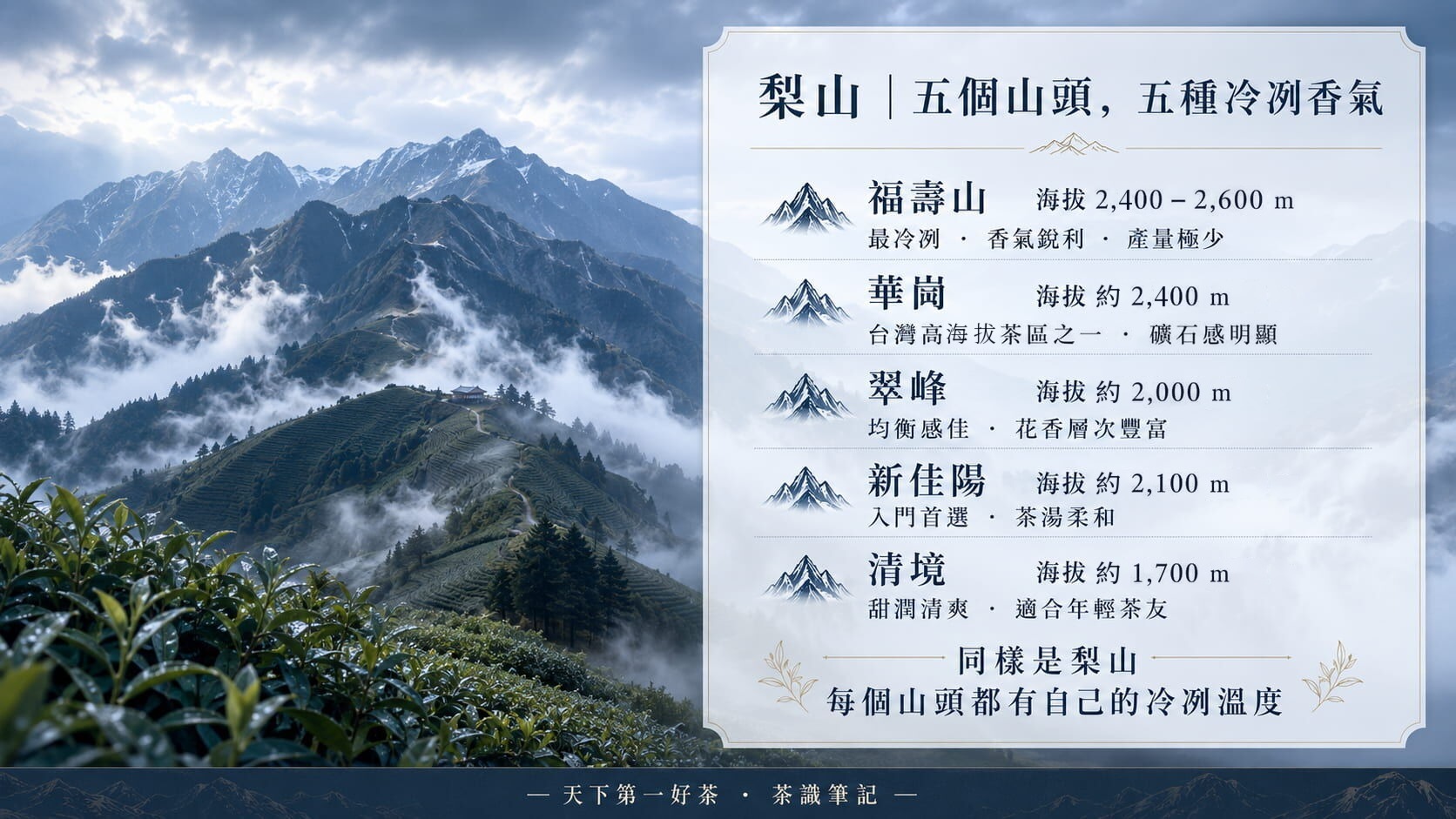 梨山五大子茶區風味地圖，福壽山、華崗、翠峰、新佳陽、清境的海拔範圍與風味特色對照