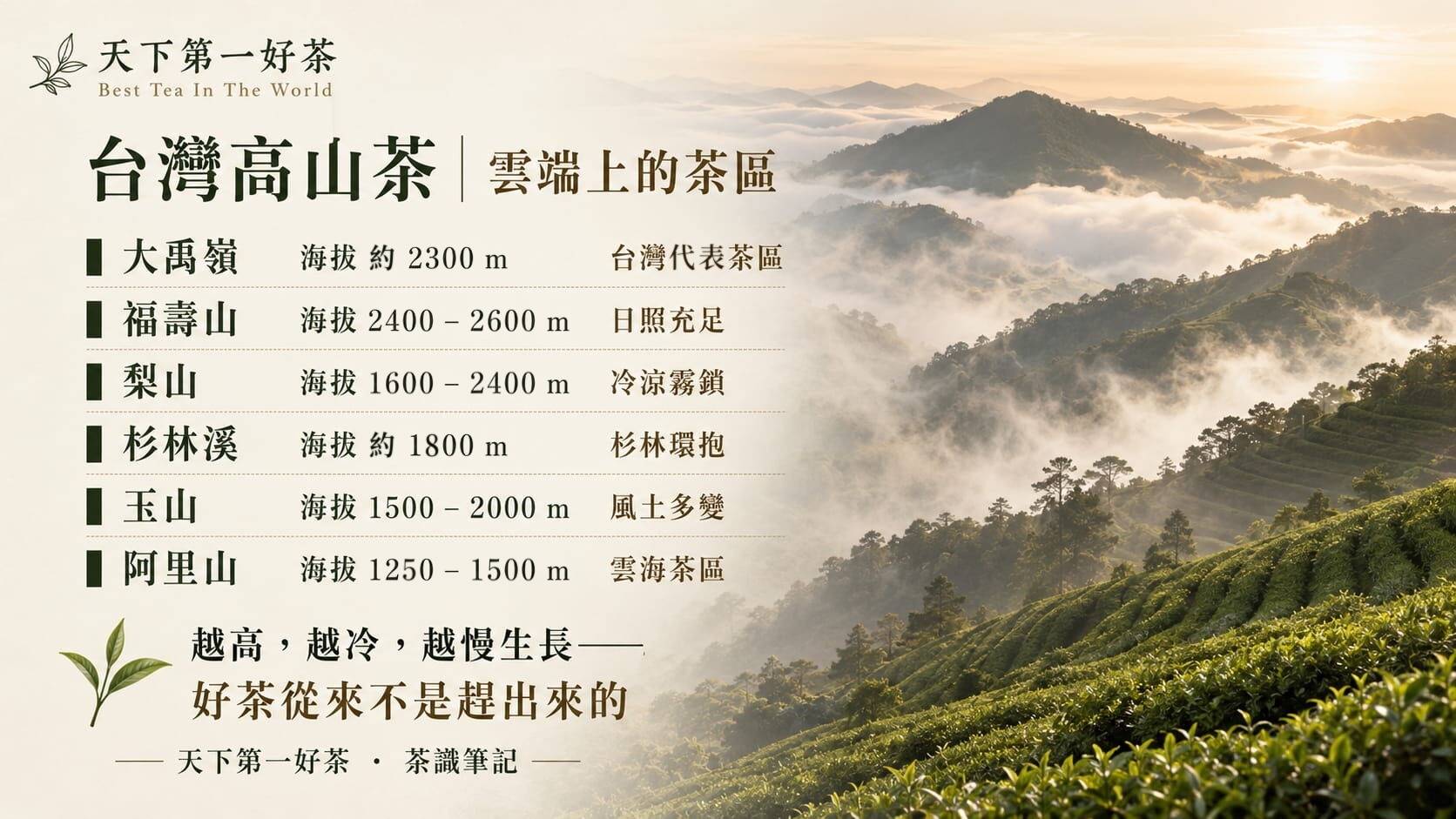 台灣高山茶主要產區海拔對照圖,大禹嶺、福壽山、梨山、杉林溪、玉山、阿里山的海拔範圍與環境特色