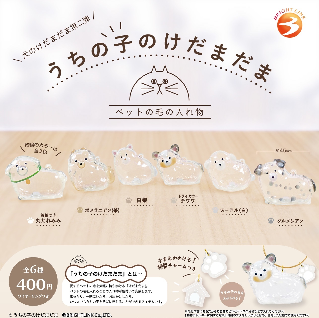 我家毛孩的毛毛收集鑰匙圈 狗狗篇第二彈 扭蛋