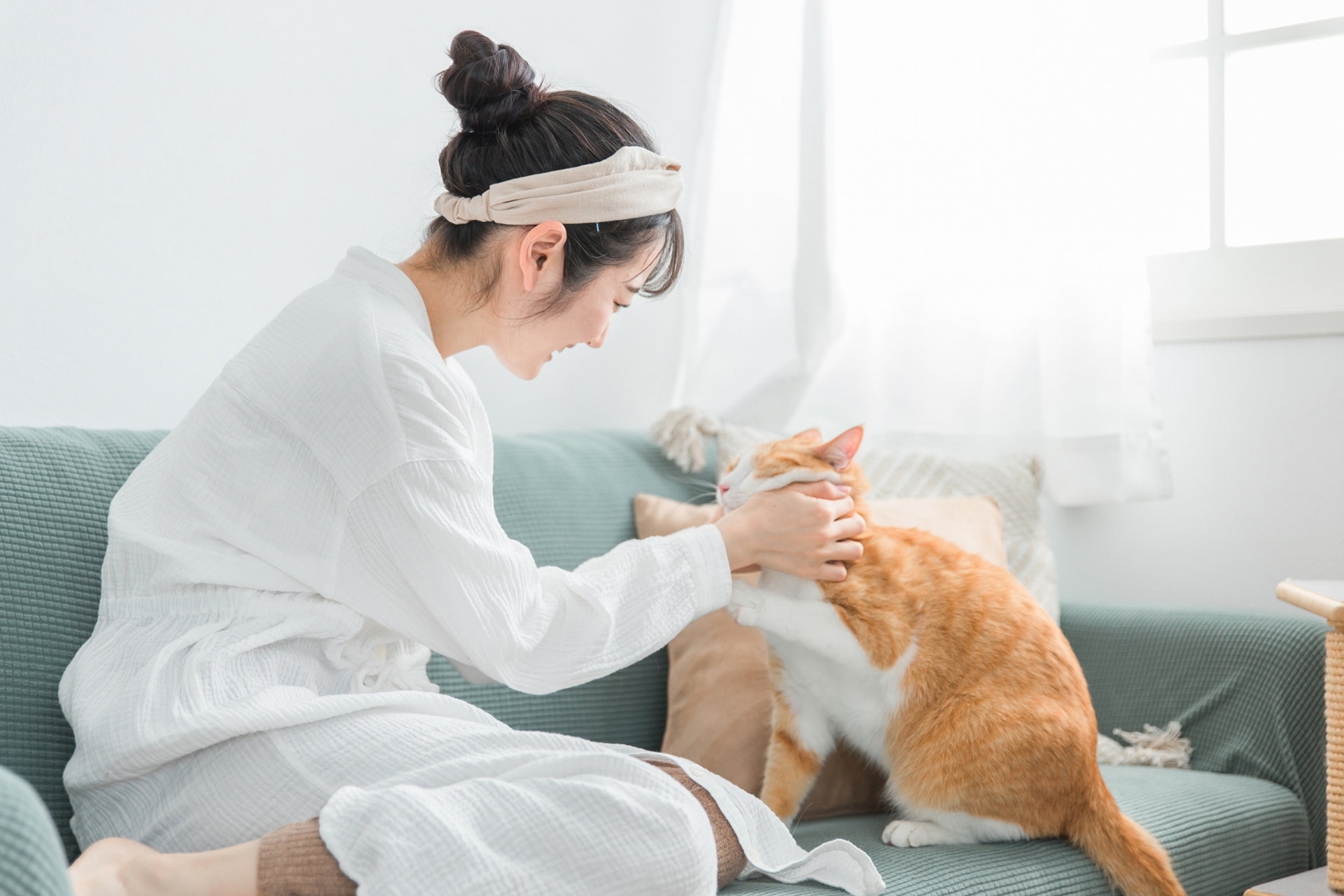 飼主在沙發上撫摸貓咪