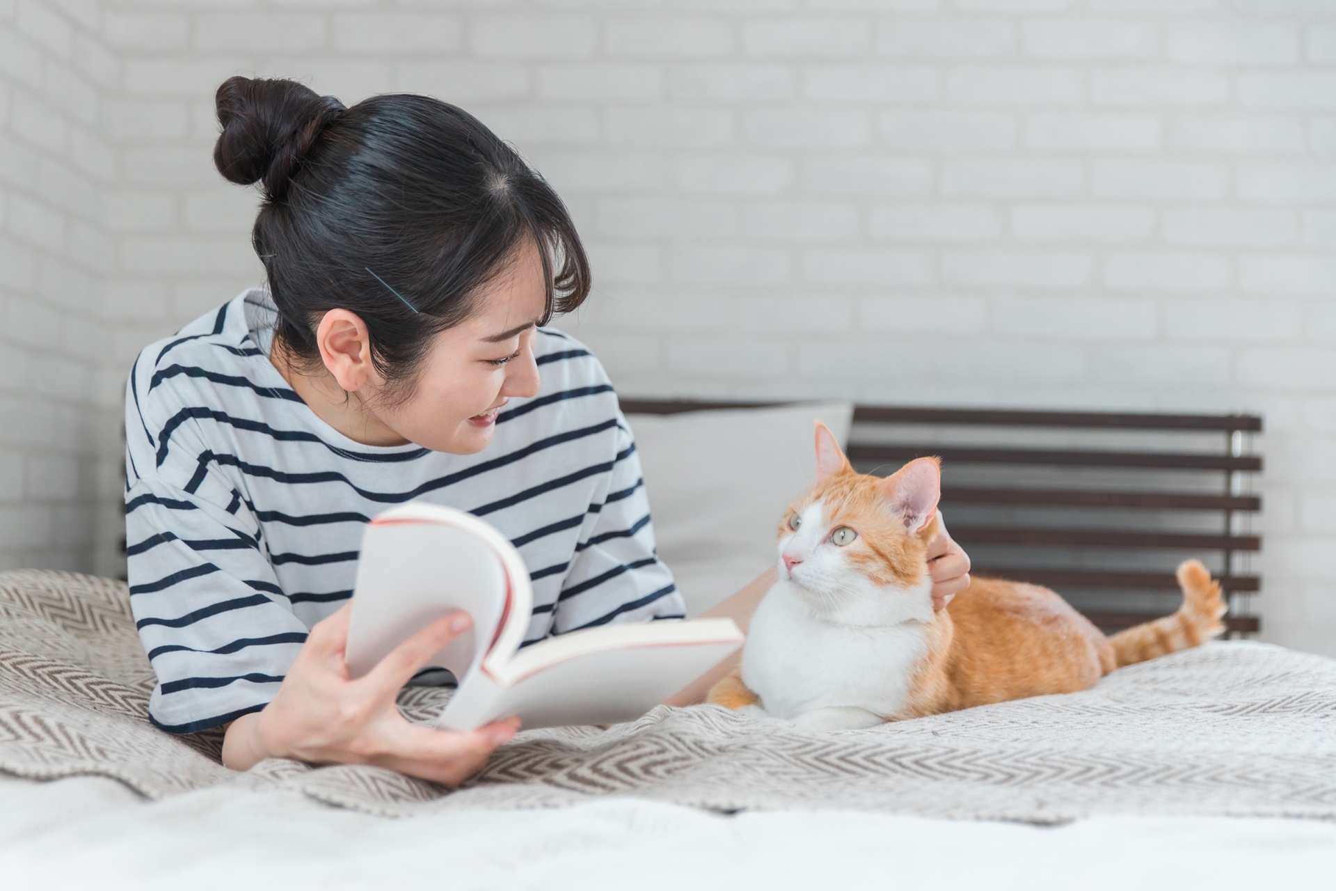 飼主看書時陪在身邊的貓咪