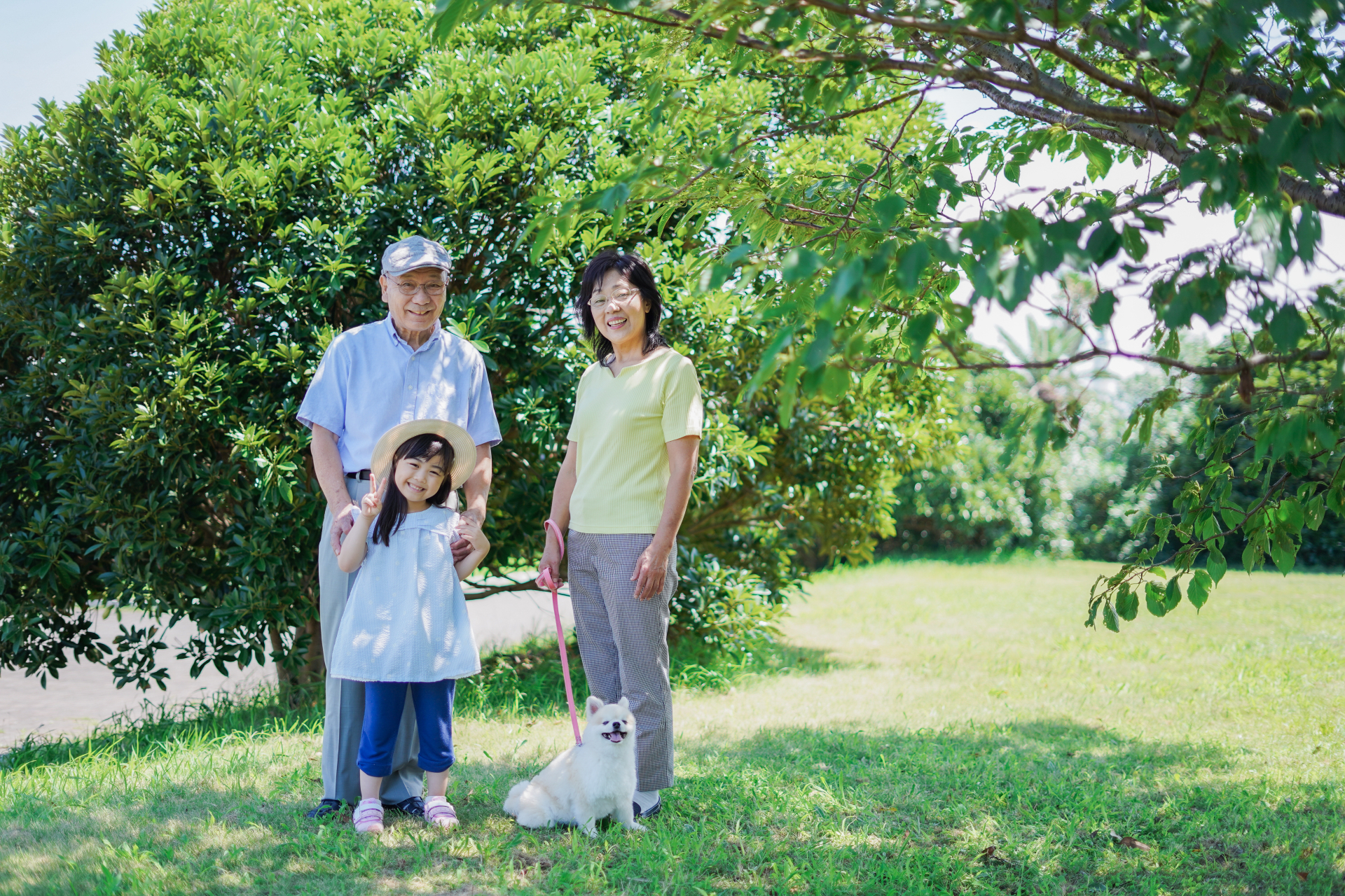 一家人在公園陪狗狗散步