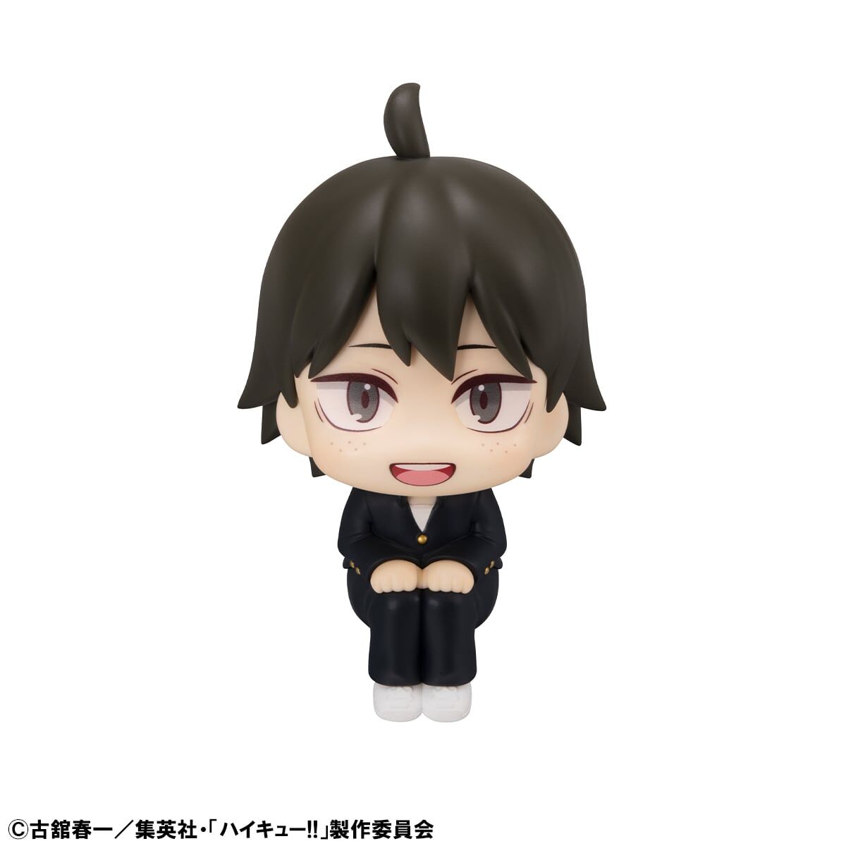 Lookup Haikyu！！Tadashi Yamaguchi