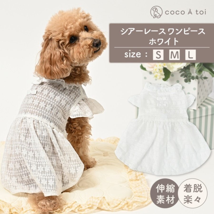 【coco A toi】透紗蕾絲白色連身裙