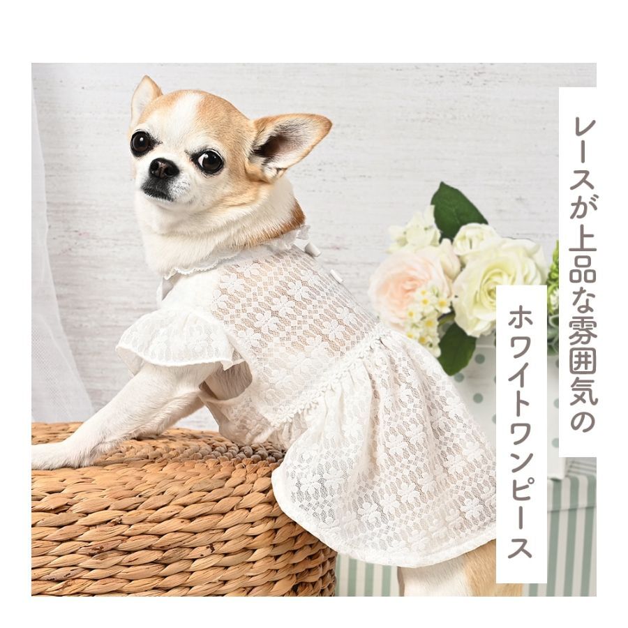 【coco A toi】透紗蕾絲白色連身裙