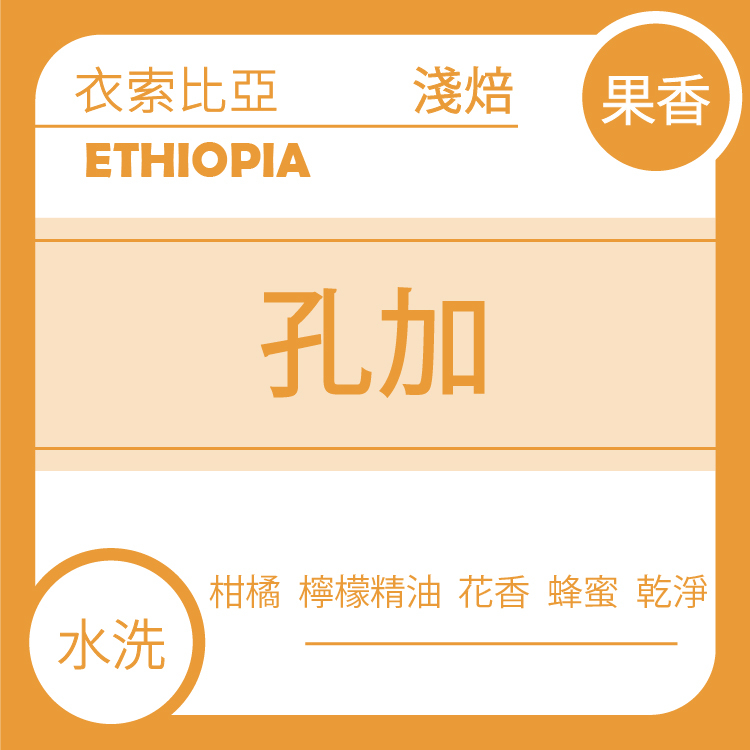團A【衣索比亞 耶加雪菲 孔加處理廠 水洗】十月團購(*預購:11/2出貨)