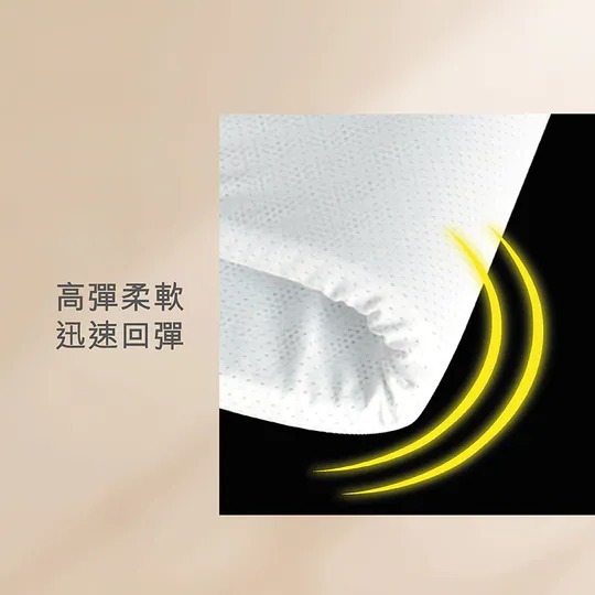 買二送一 石墨烯多功能枕墊 (C2610 CC932)