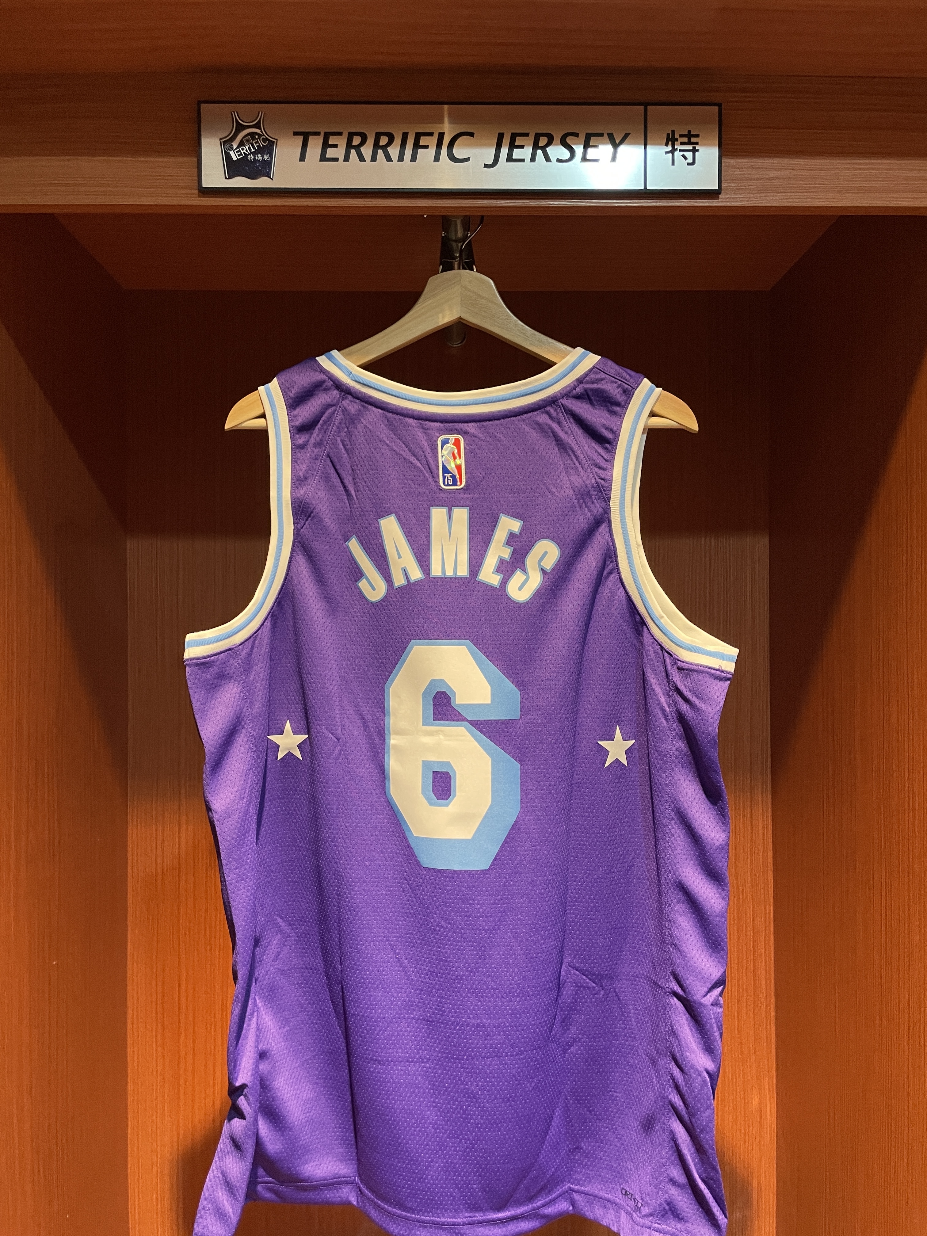 NBA球衣 Lebron James 洛杉磯湖人城市 #6 75周年 鑽石標 City Nike Swingman 球迷版 熱轉印 全新