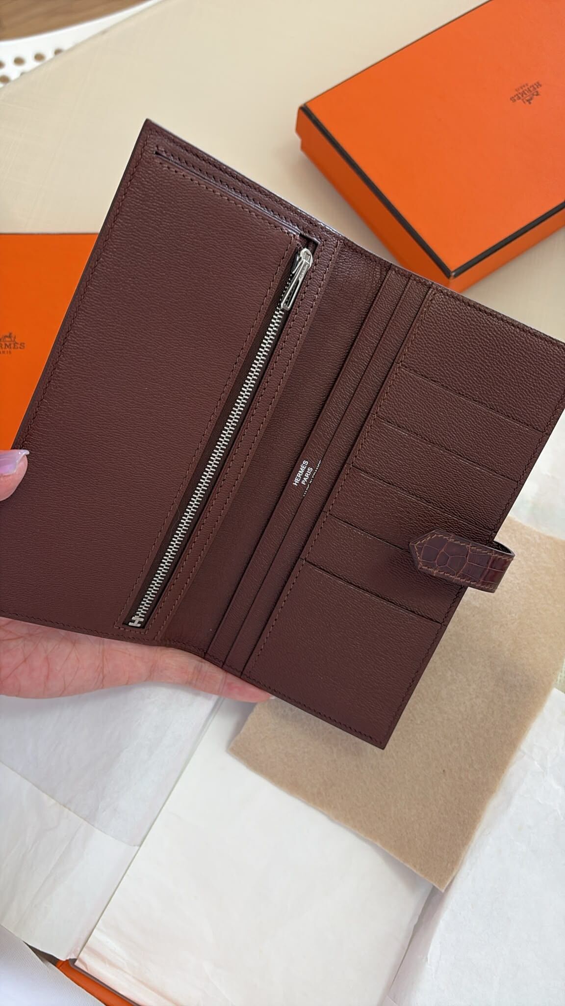 99%NEW/UNUSED Bearn wallet Shinny Terre CK alligator 霧面鱷魚皮
