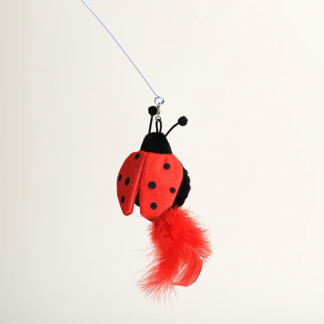 Luuks up - Bug Bounce Cat Teaser -Red Ladybug