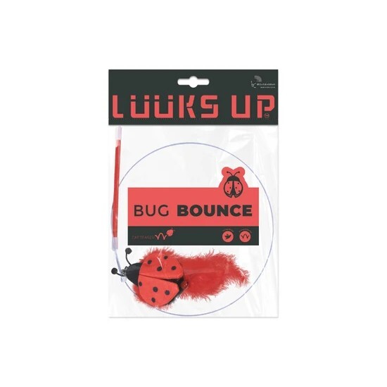Luuks up - Bug Bounce Cat Teaser -Red Ladybug