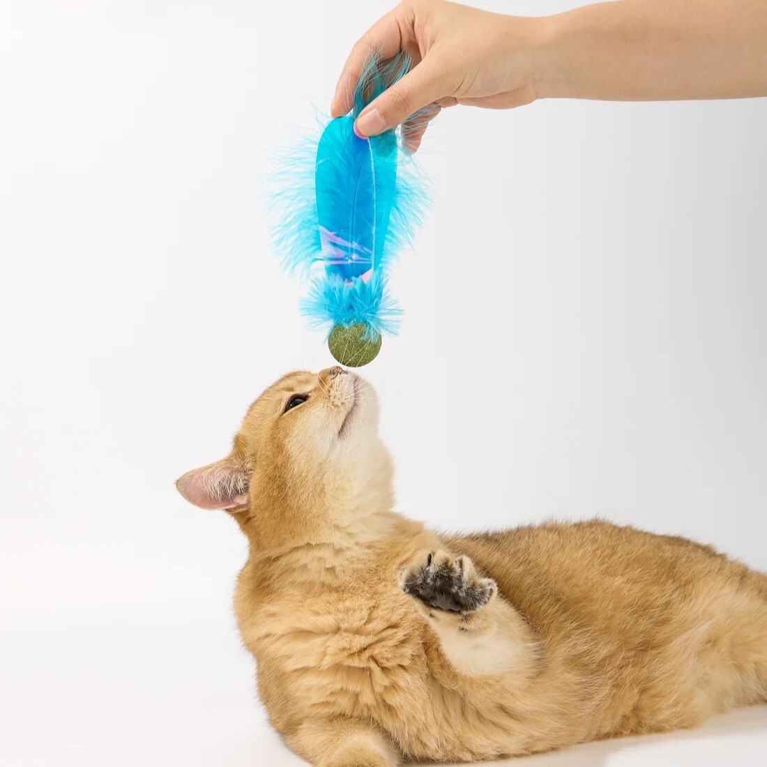 Luuks up -Catnip Toy-Blue Dragonfly