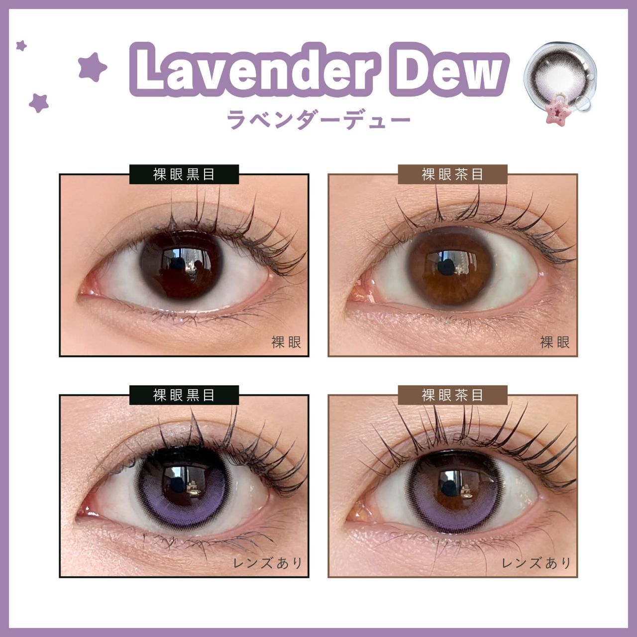 [固定高光] Dewlit 1 Day (Lavender Dew) (10P)