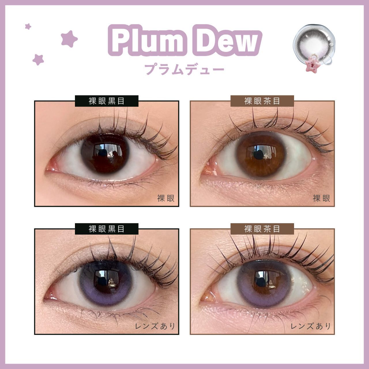 [固定高光] Dewlit 1 Day (Plum Dew) (10P)