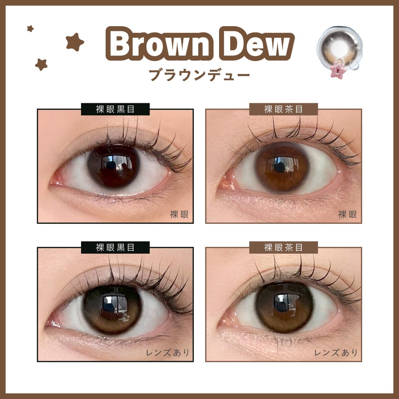[固定高光] Dewlit 1 Day (Brown Dew) (10P)