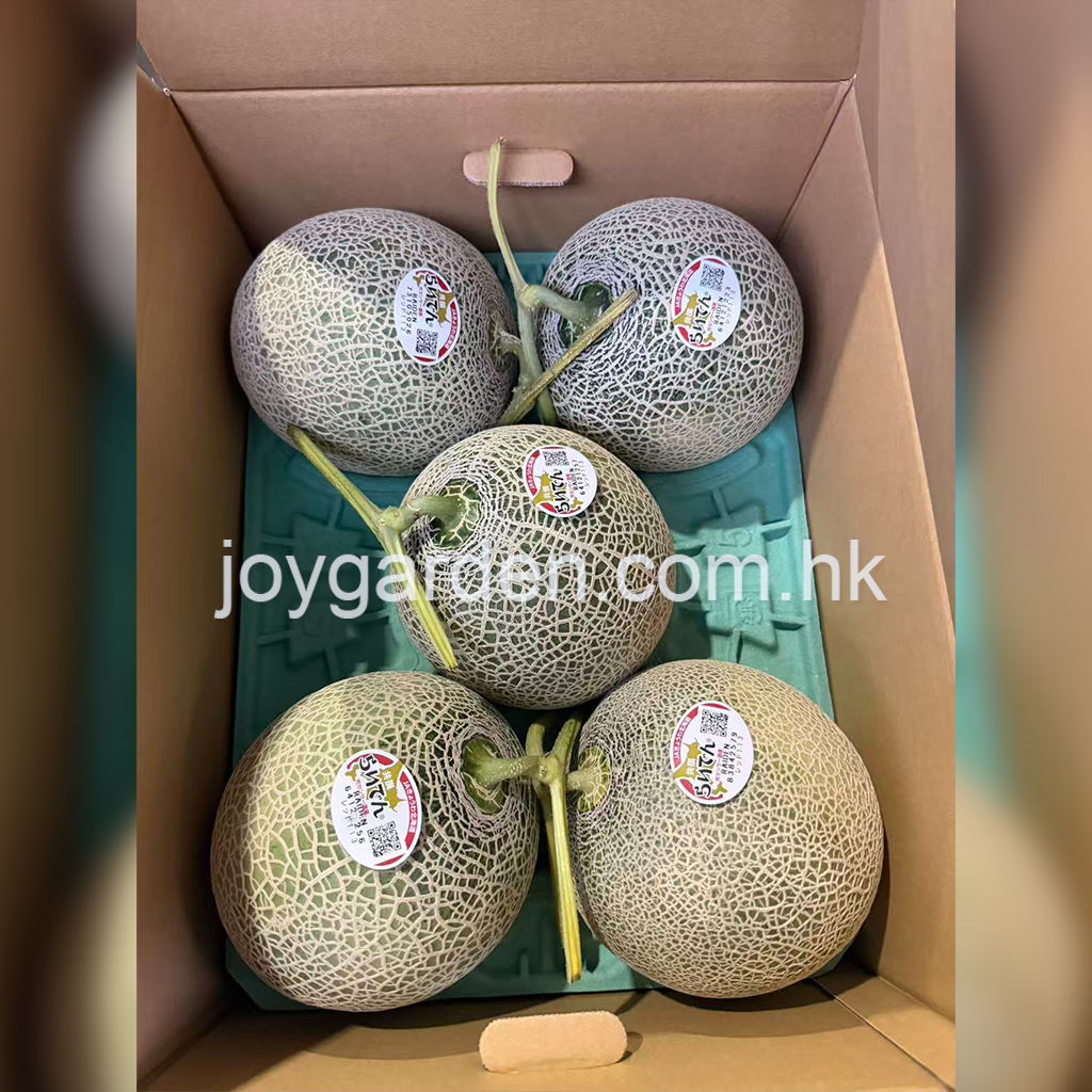 Hokkaido Thunder Melon 5pcs