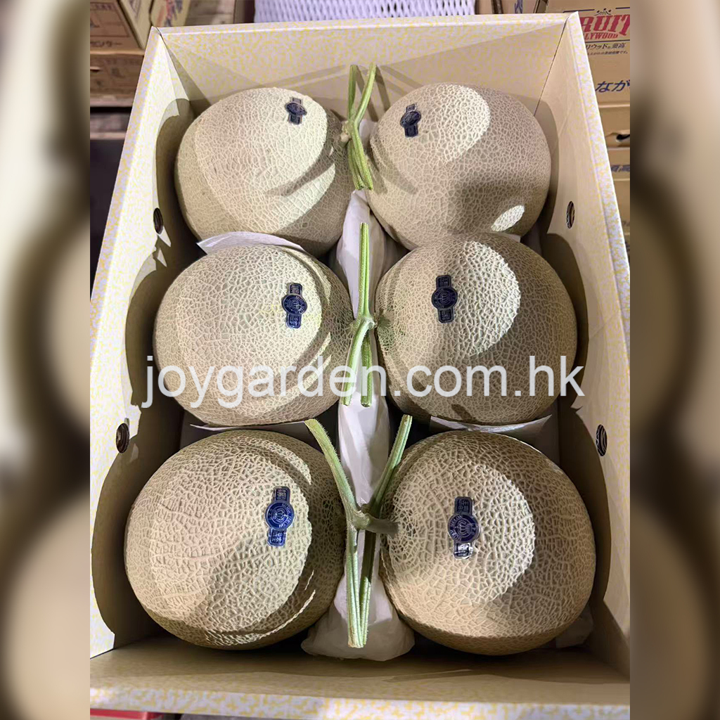 Japanese Shizuoka melon-original box