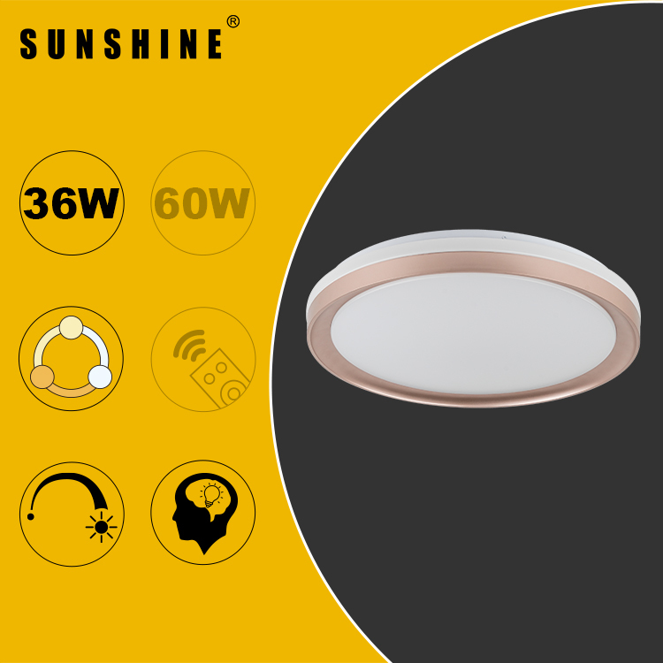 LED Ceiling Light, Tri-Color Tunable / Dimmable with Remote, 36W/60W Options (CLU2)