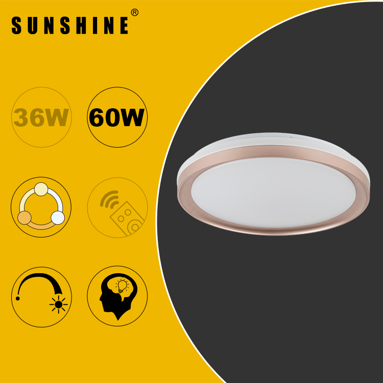 LED Ceiling Light, Tri-Color Tunable / Dimmable with Remote, 36W/60W Options (CLU2)