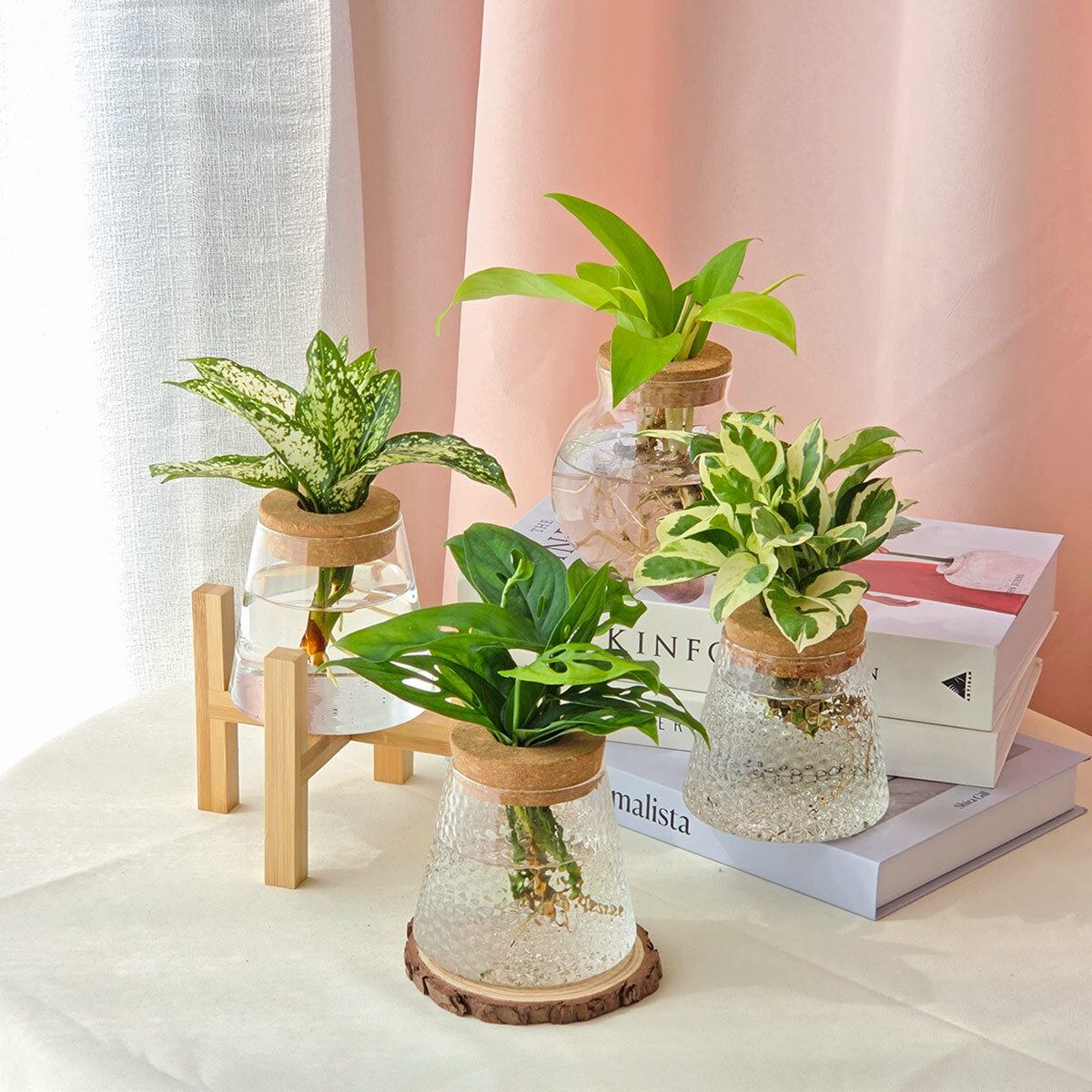 水耕植物瓶｜買一送一