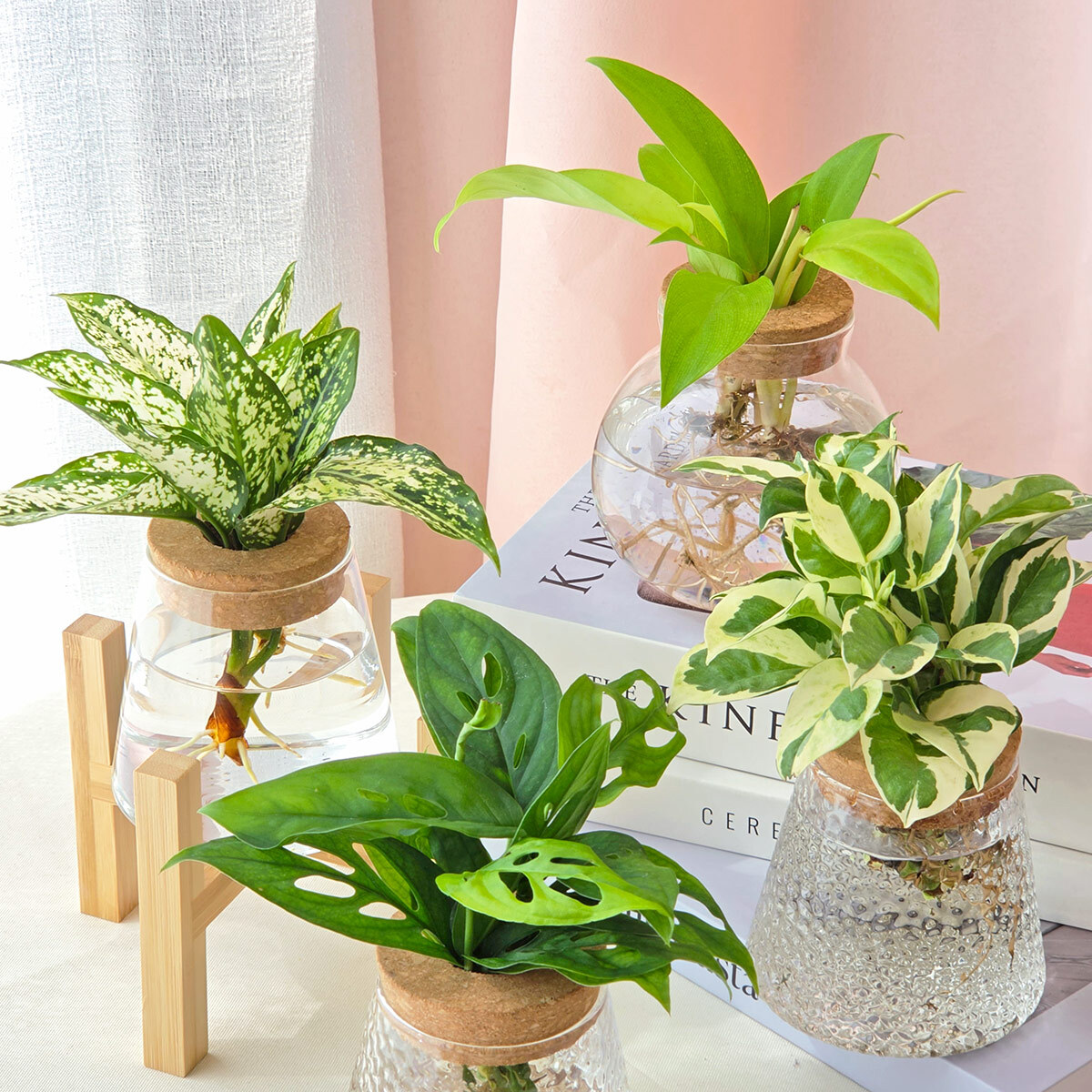 水耕植物瓶｜買一送一
