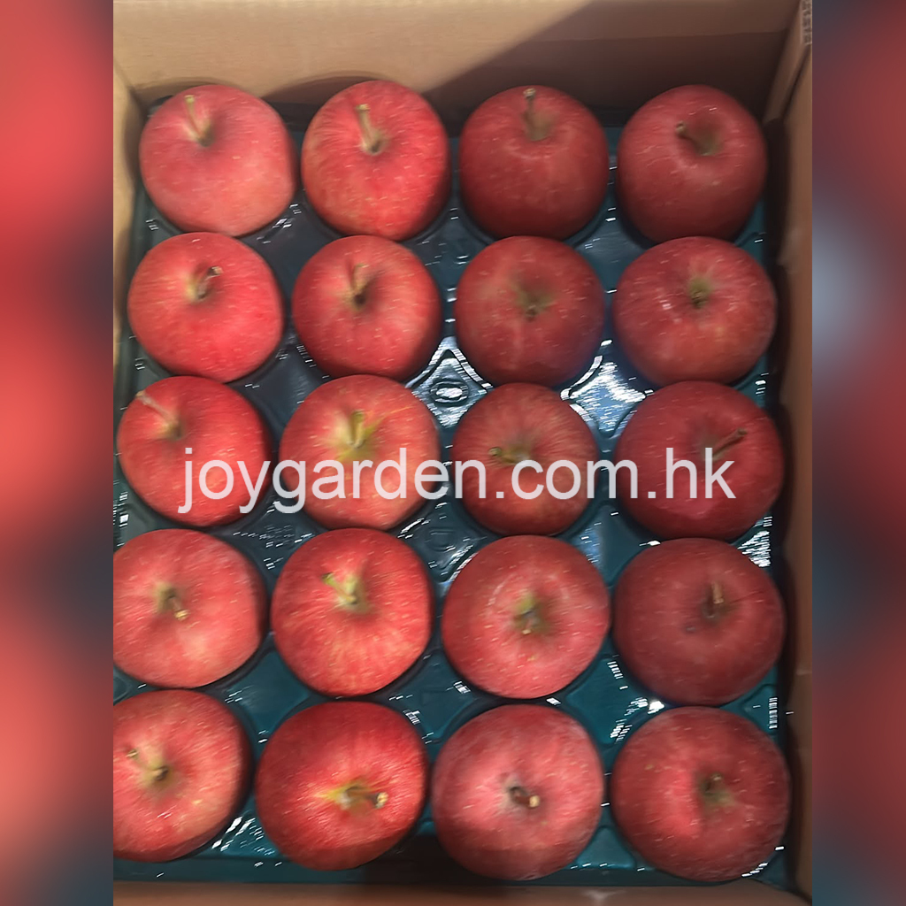 Japanese Fuji apples 40pcs