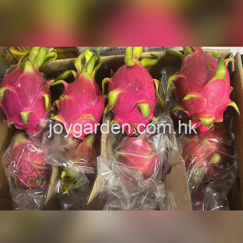 Vietnamese white dragon fruit 23-25pcs
