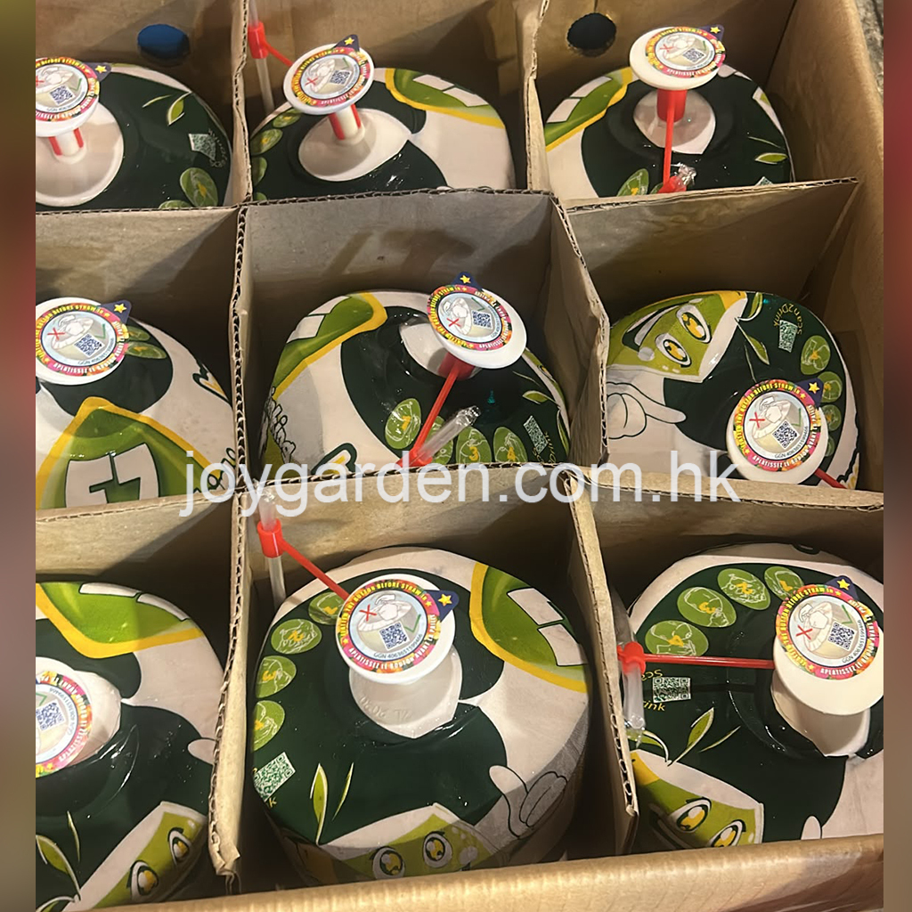 Vietnamese coconuts 9pcs