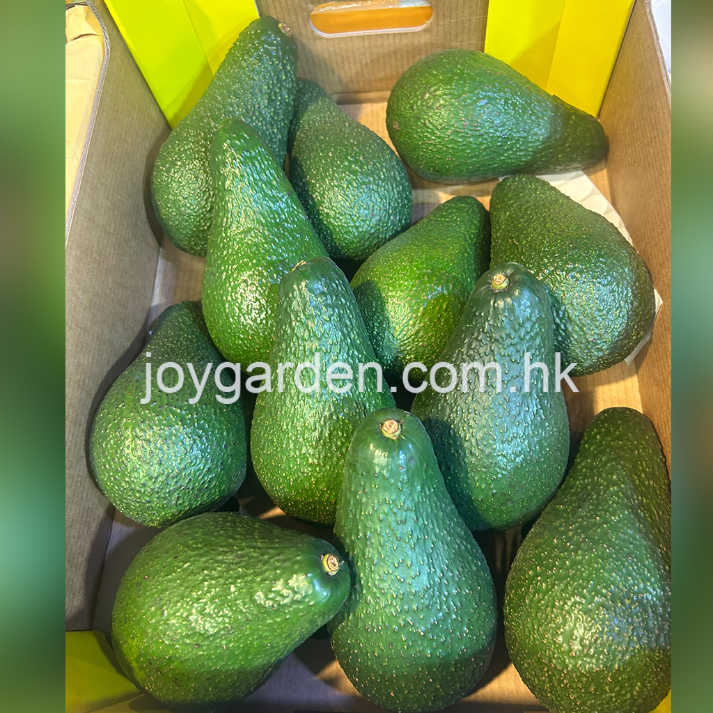 Chinese avocado 12pcs