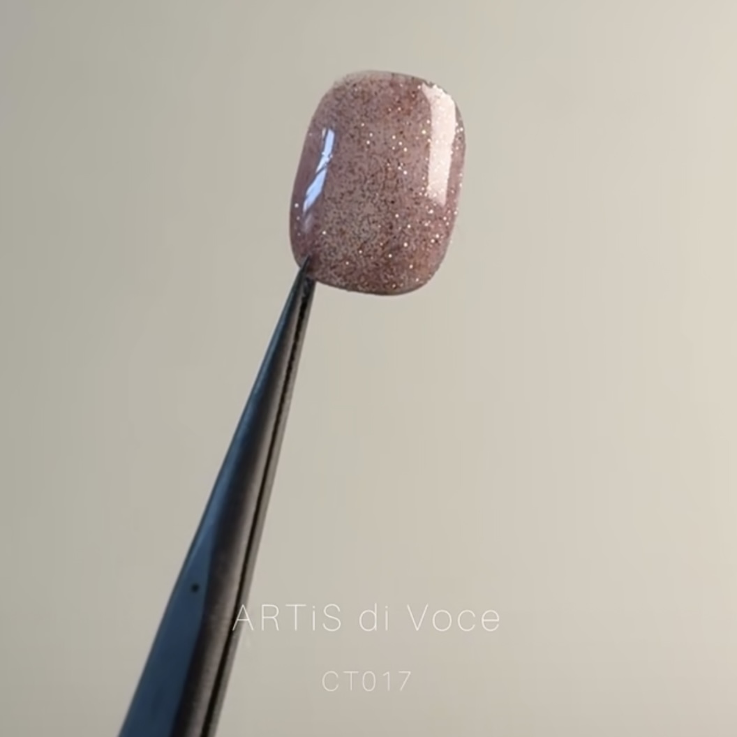 CT017 ARTiS di Voce