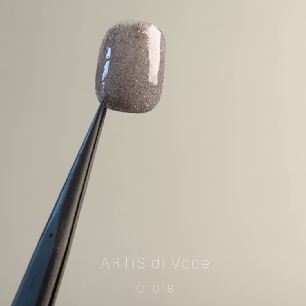 CT018 ARTiS di Voce