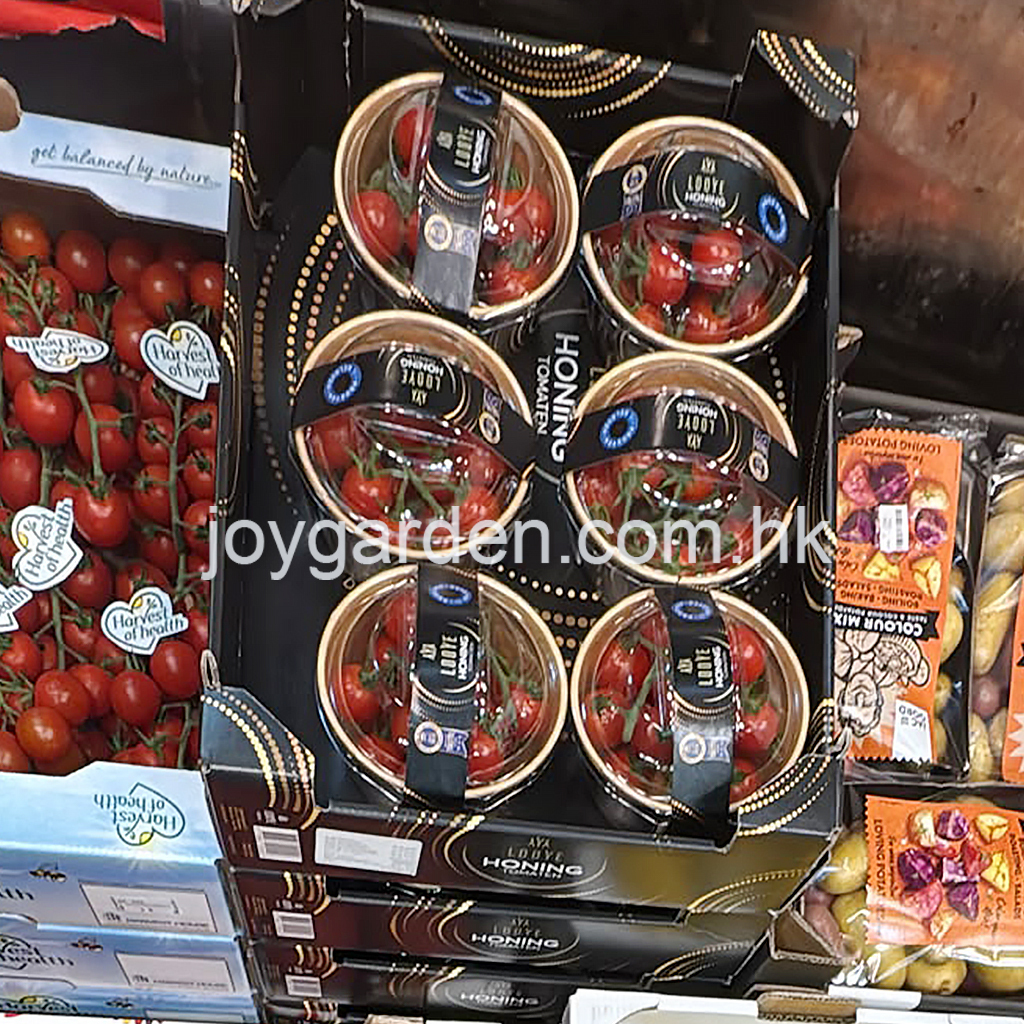 Dutch tomatoes 6cup