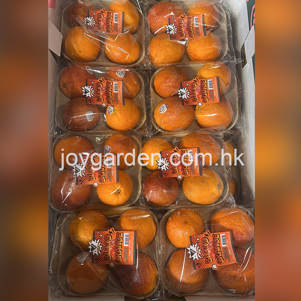 Australian blood orange 16pack