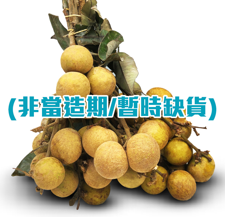 🌟 頂級清甜新鮮龍眼 [2磅裝] | 嚴選新鮮水果網購