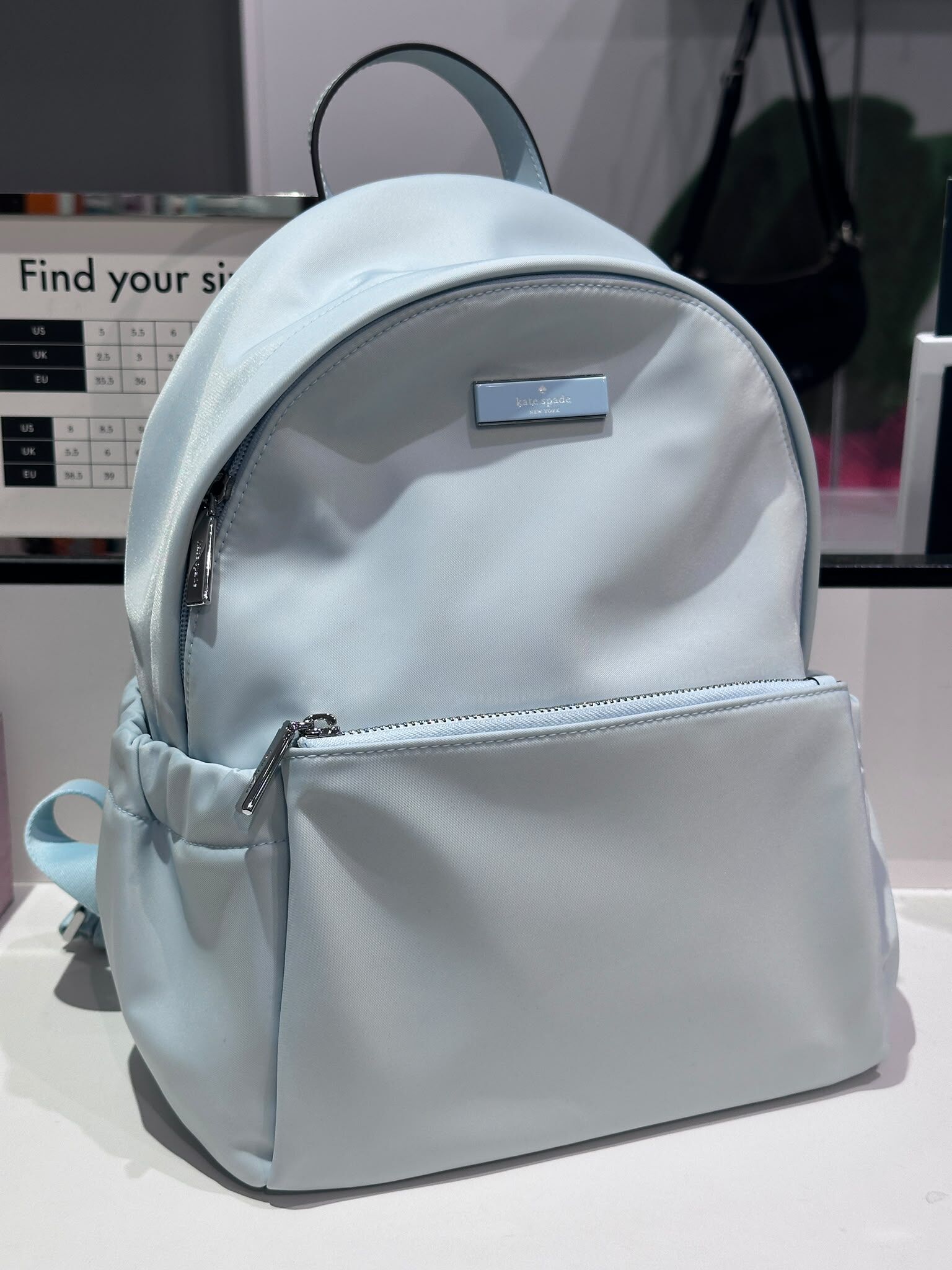 WV17 KS 淺藍色 細尼龍背囊  Carter Nylon Dome Backpack
