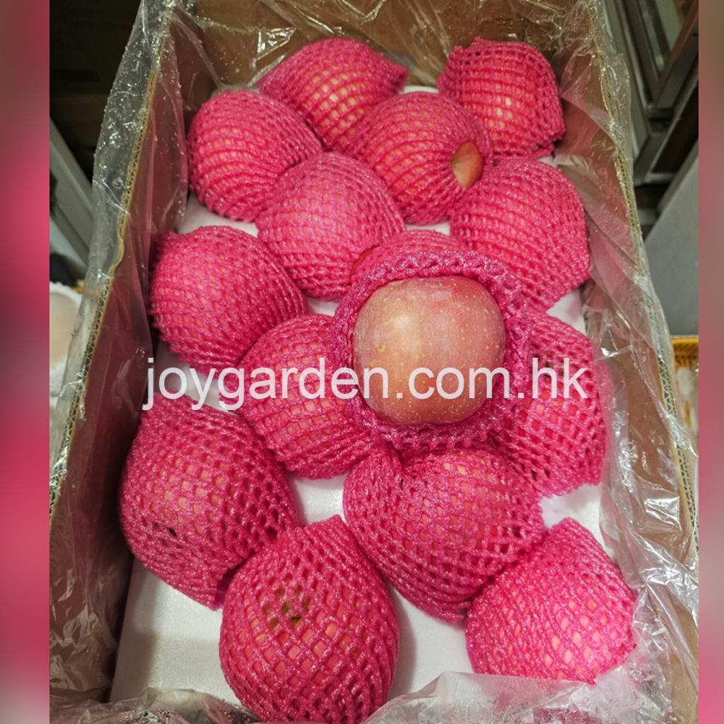 Fuji Apple 56pcs