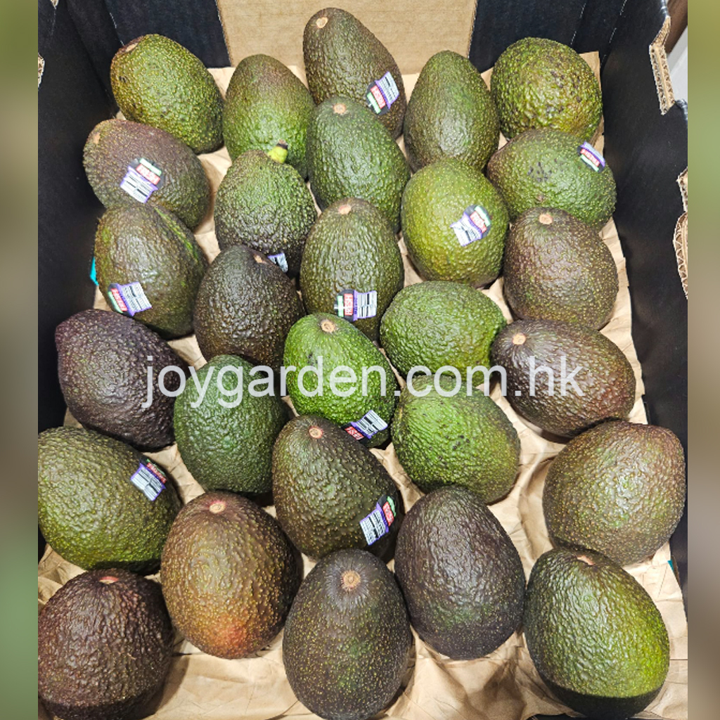 Australian avocado 28pcs