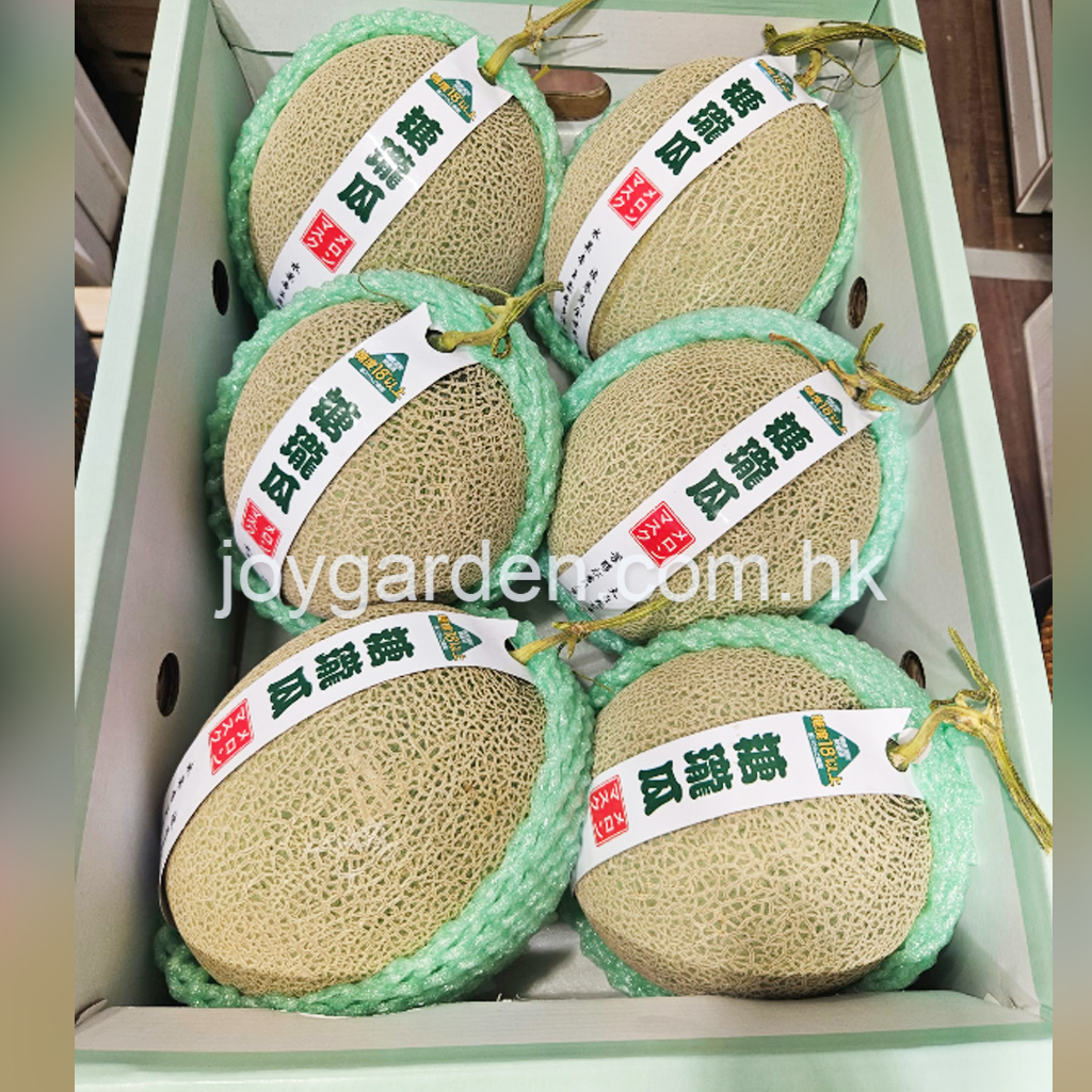 Honeydew 6pcs