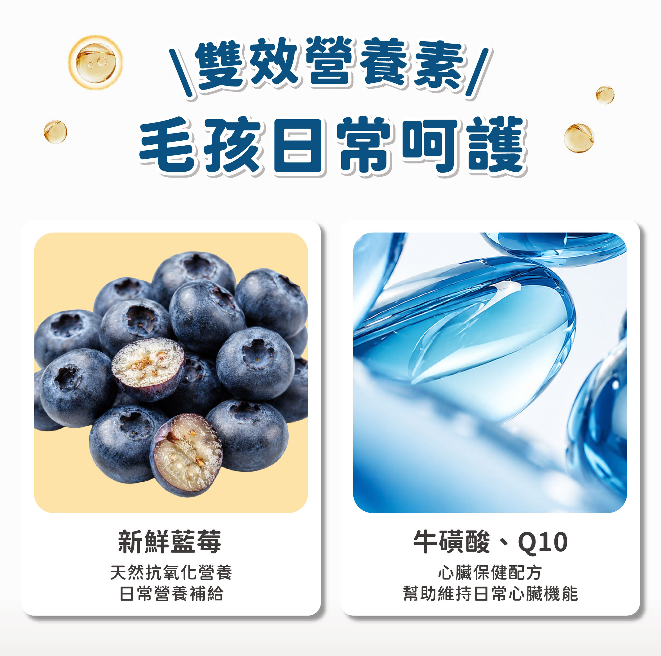 飼糧倉 水果優格凍乾