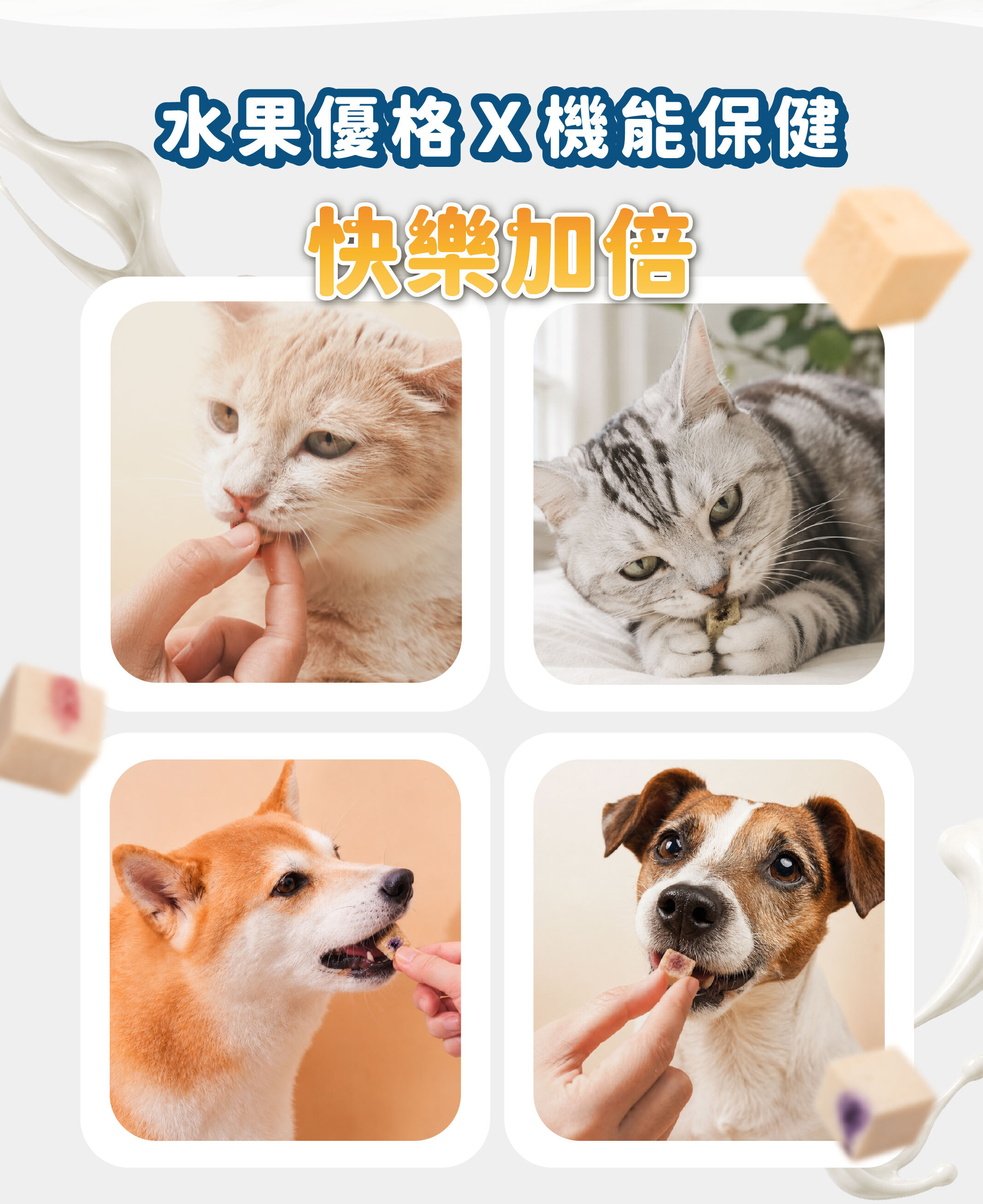 飼糧倉 水果優格凍乾