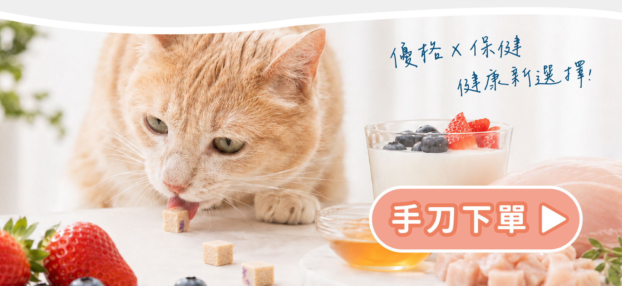 飼糧倉 水果優格凍乾