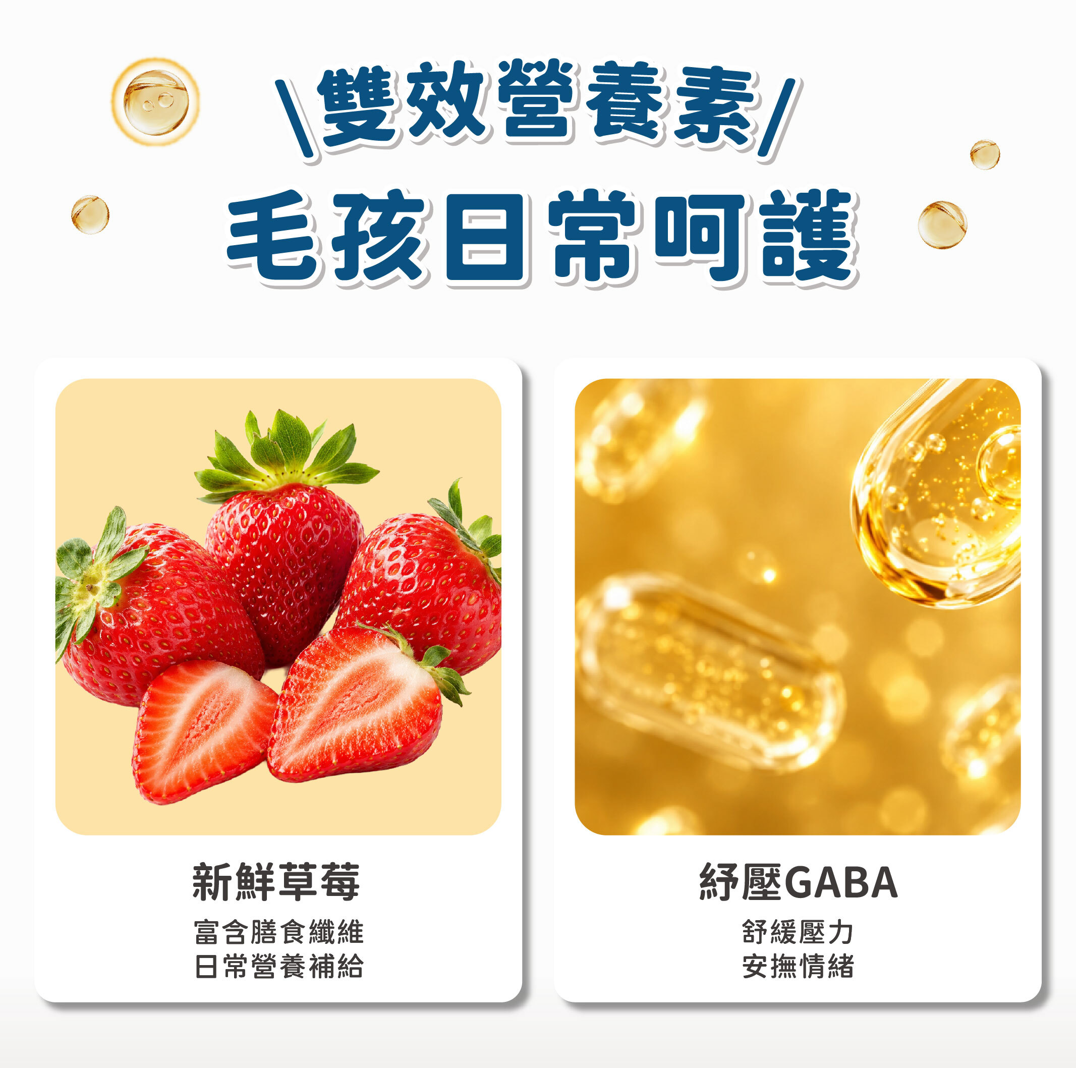 飼糧倉 水果優格凍乾