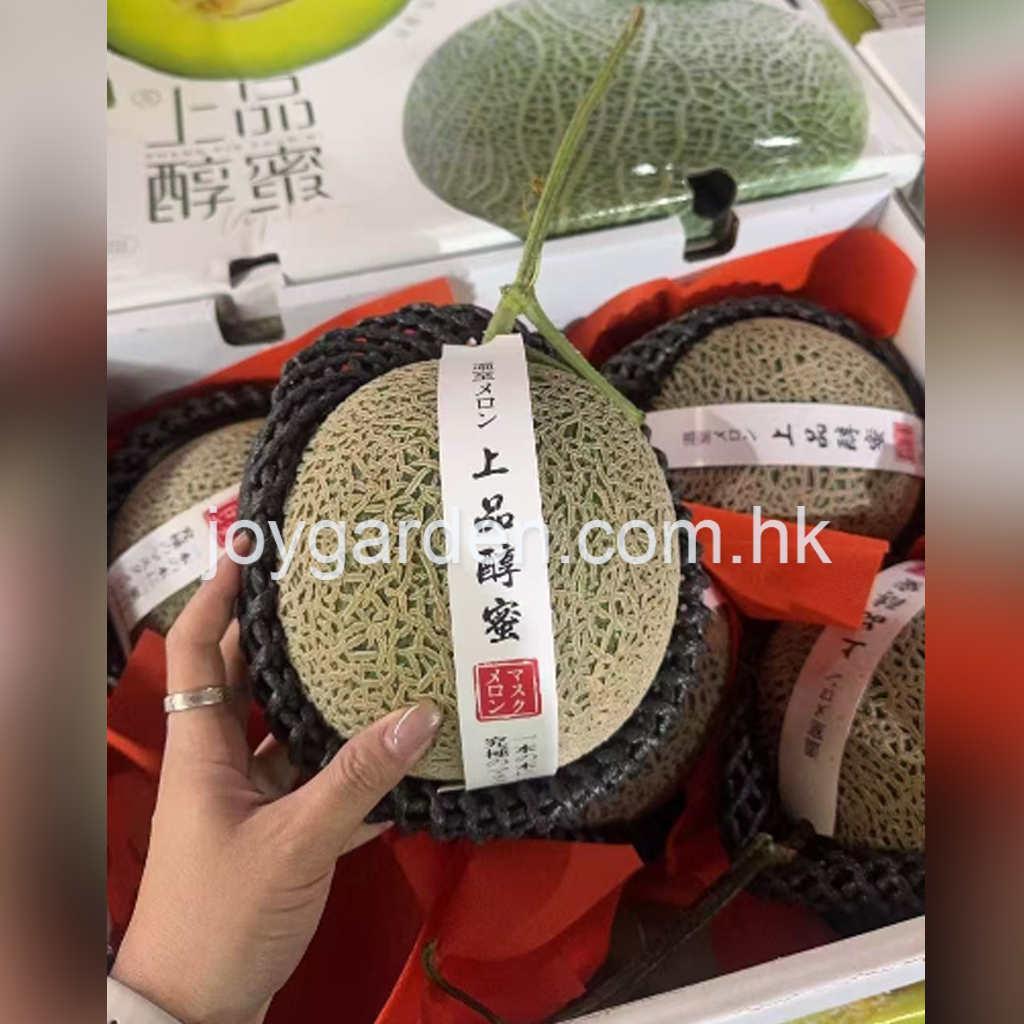 Honeydew melon 5pcs
