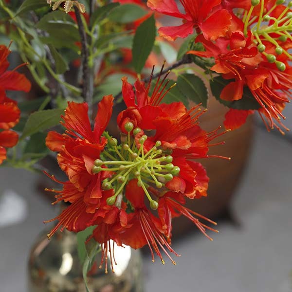 仿真絹布鳳凰花 (花絹花)