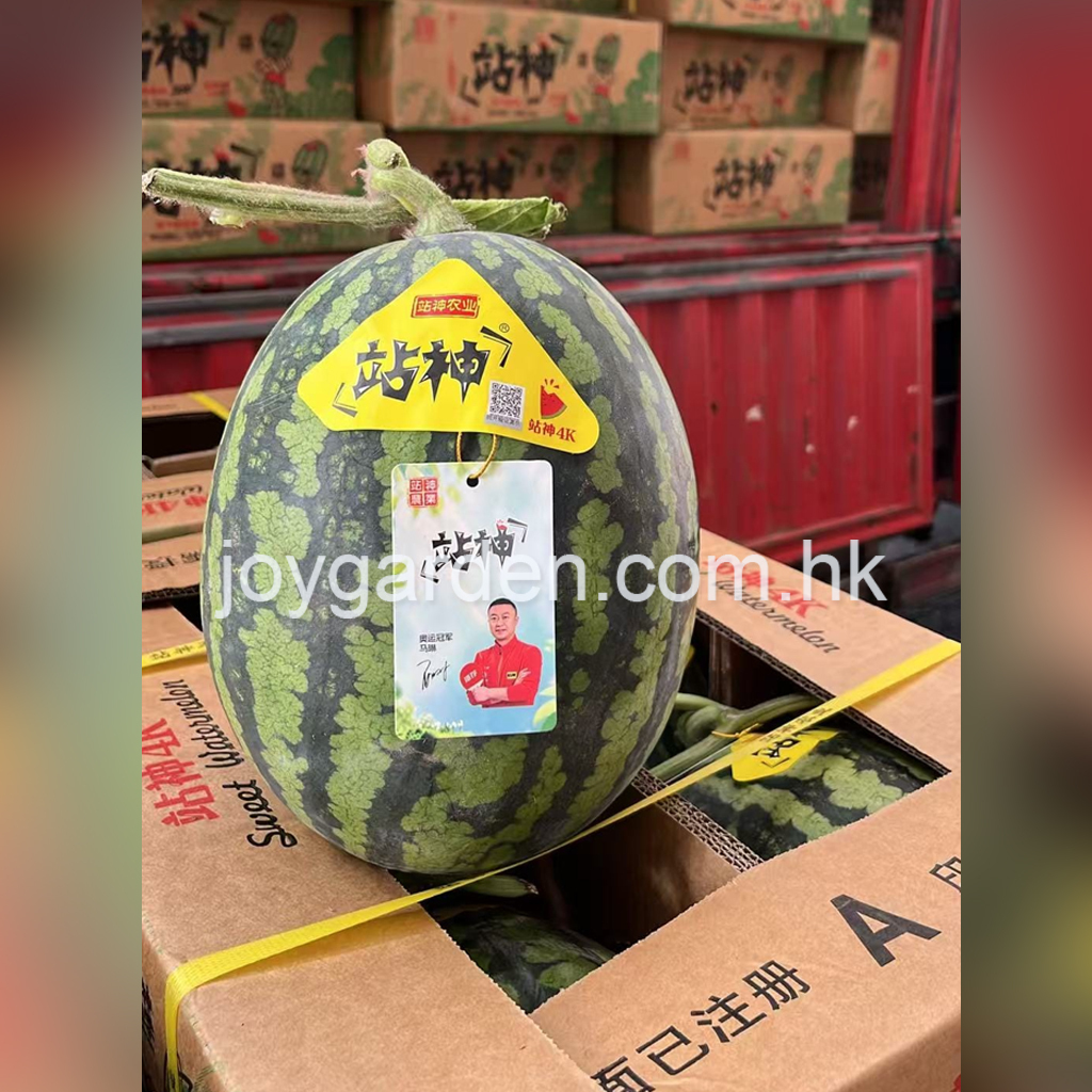 8424 Watermelon (A) 4pcs
