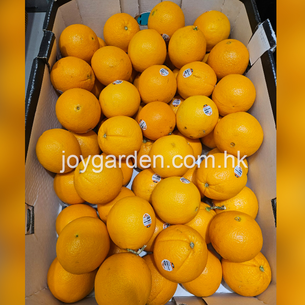 Australian oranges 72pcs
