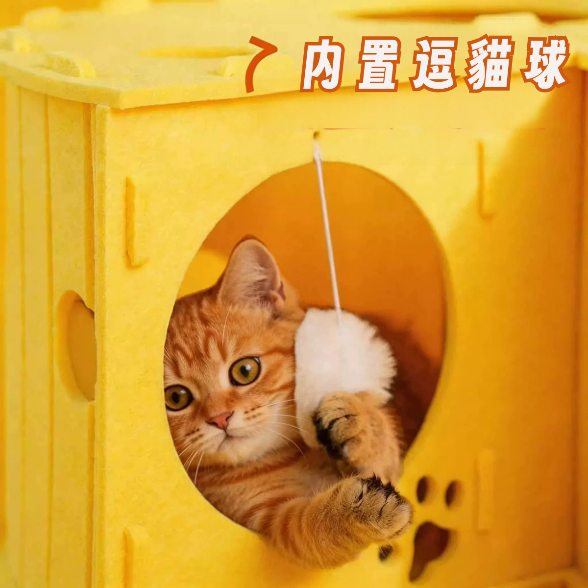 起司樂園・貓咪隧道