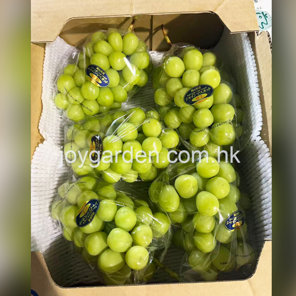 Japanese grapes 5pcs